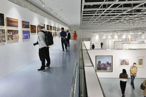 推動長三角文藝創作由高原邁向高峰 這個展覽你一定要來看