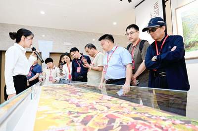 城鄉融合看嘉興 | 秀洲區油車港鎮勝豐村 農民畫+非遺，文藝為鄉村賦能的真實畫卷